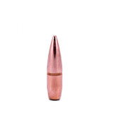 Hornady FMJ Bullets - 223 62gr BT (100)