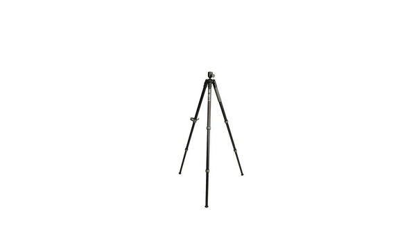 Infinite Tripod