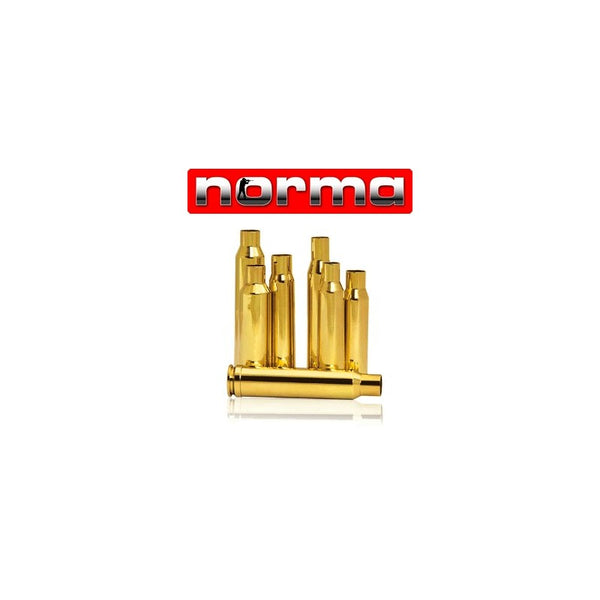 Reloading Brass 6mm Dasher 100pcs