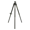 Infinite Tripod