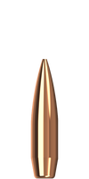 .30 175 gr  Max RT