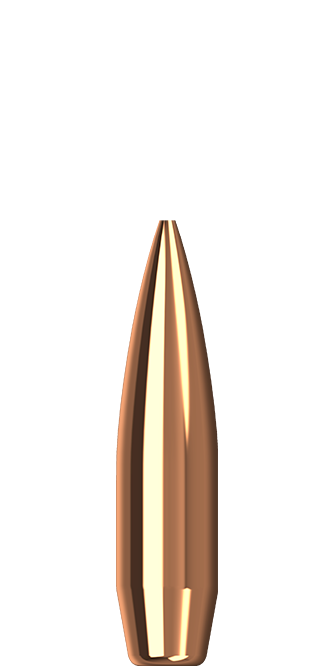 .30 175 gr  Max RT