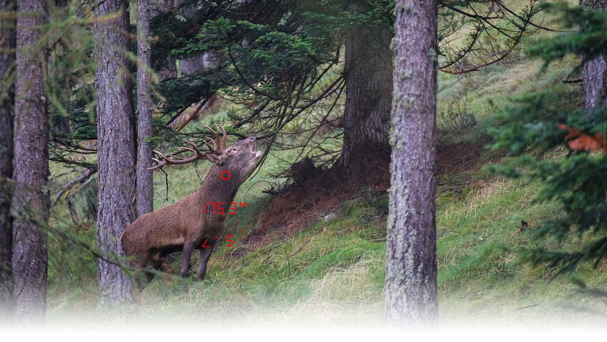 RANGEGUIDE 2800 10x32