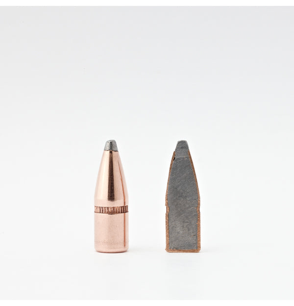 .224 55GR BTSP WC (100)