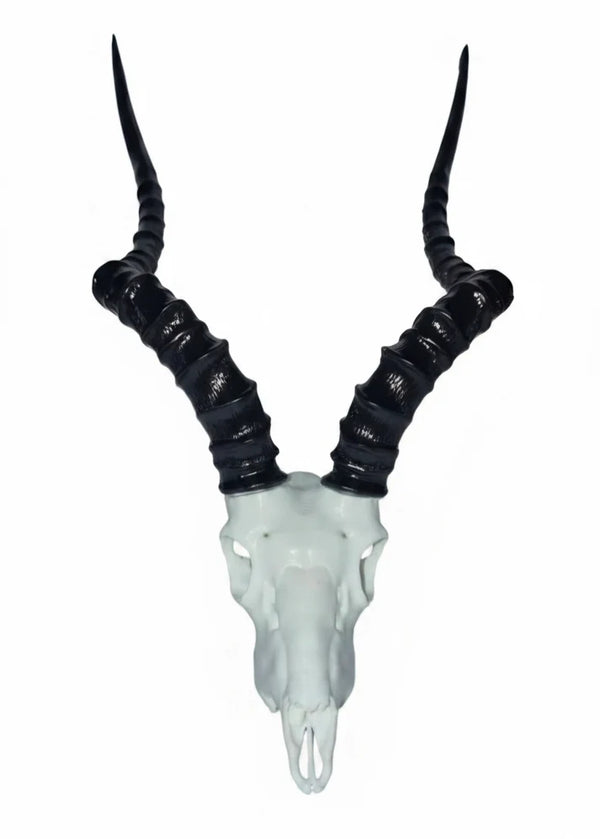 Vertex Mini Skulls