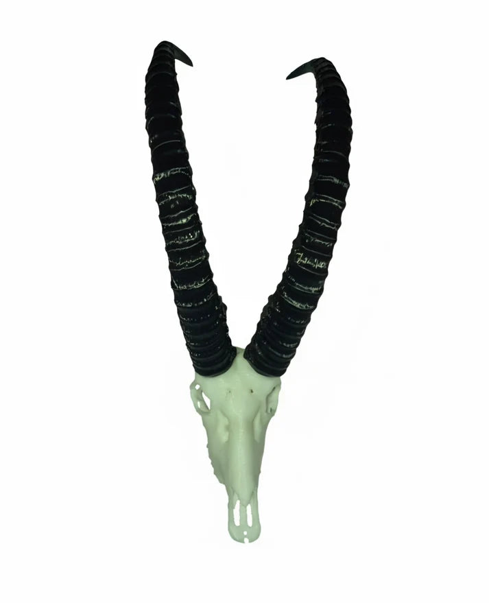 Vertex Mini Skulls