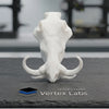 Vertex Mini Skulls