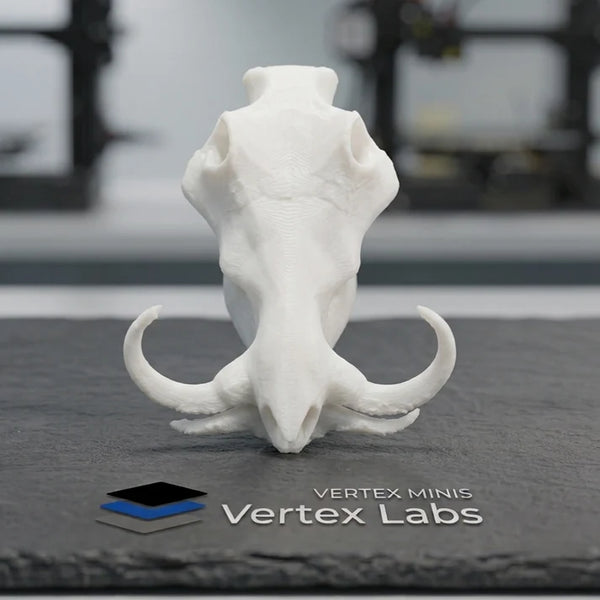 Vertex Mini Skulls