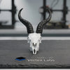Vertex Mini Skulls