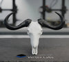 Vertex Mini Skulls