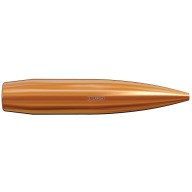 BULLETS 224 69GR SCENAR (100)